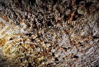 <p>Flutings at Rouffignac. Both children and adults created cave art known as finger flutings in the French caverns of Rouffignac roughly 13,000 years ago. Credit: Jessica Cooney / Leslie van Gelder. (Click on image to view larger.)</p>